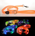 LED Hundehalsband mit Leine für sichere Spaziergänge