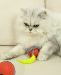 Interaktives Selbstfahrendes Katzenspielzeug mit Bewegungsanimation