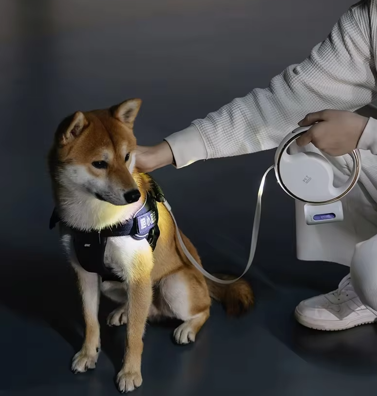 Hundeleine mit LED-Licht und Ausziehbarem Mechanismus für Sicheres Gassi Gehen