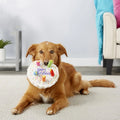 Hundespielzeug Geburtstag Set – Plüschkuchen, Cupcake & Knochen mit Quietschfunktion