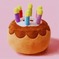Hundespielzeug Geburtstagskuchen – Mit Kerzen und Plüsch