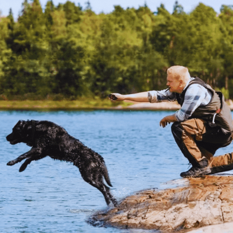 Elektronisches Hundetrainingshalsband mit Fernbedienung und Vibrationsfunktion – Reichweite Bis 800m