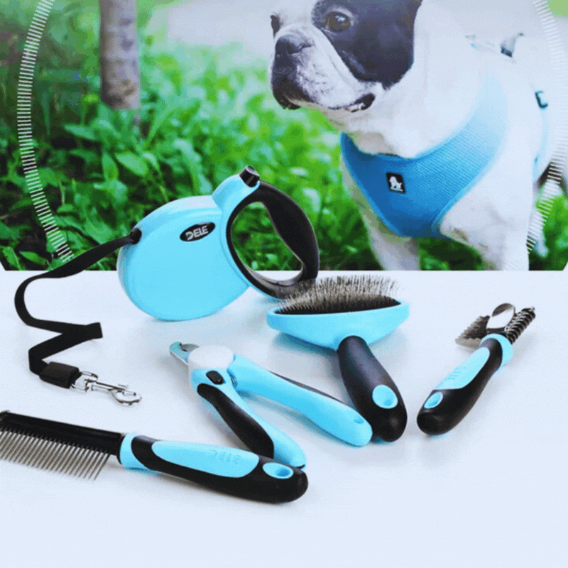 Komplettes Hundepflege-Set mit Leine Bürsten und Krallenschneider – Für Kleine und mittelgroße Hunde