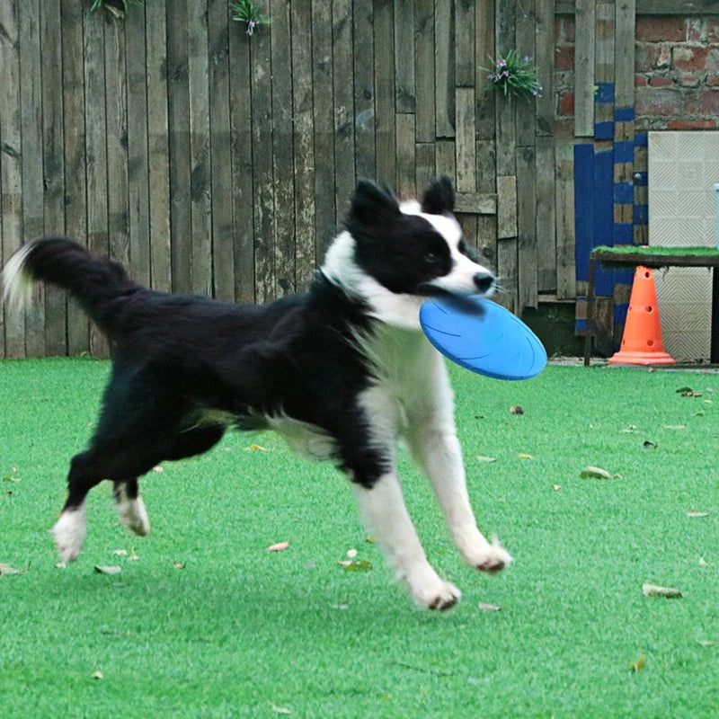 Hundespielzeug Frisbee – Robuste Wurfscheibe Für Aktives Spielen