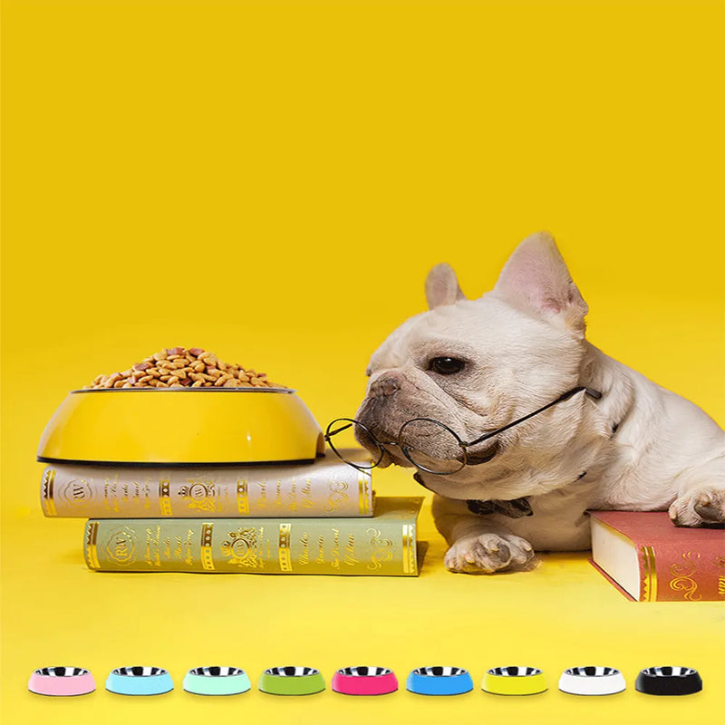 Hundenapf Aus Edelstahl Mit Glänzendem Kunststoffrand