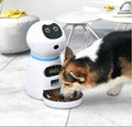 Automatischer Futterspender Für Hunde Mit Digitalanzeige