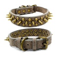 Leder Hundehalsband mit Nieten und Stacheln in 3 Farben