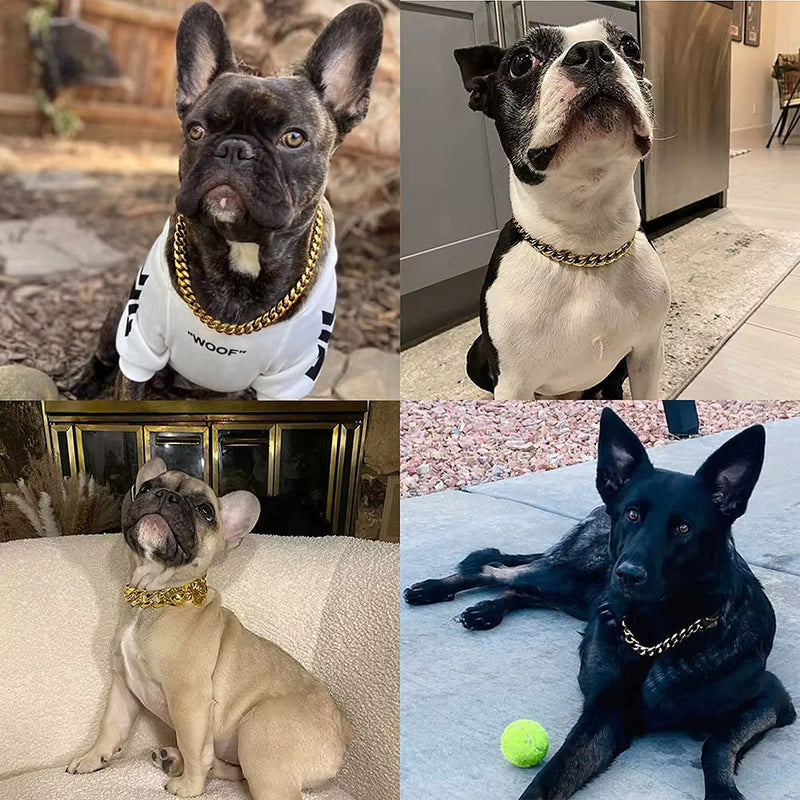 Hundehalsband Goldkette