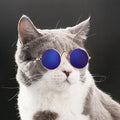Modische Katzenbrille